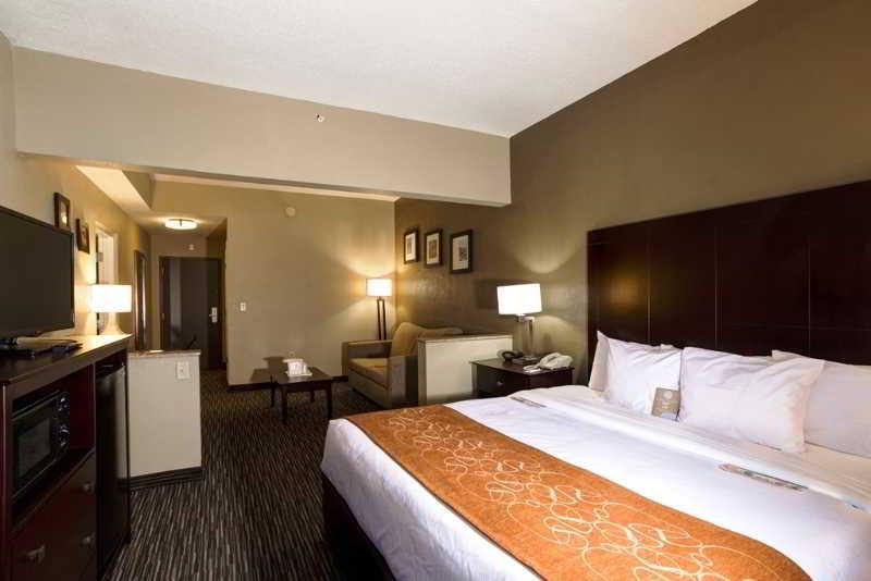 Comfort Suites Clearwater - Dunedin מראה חיצוני תמונה